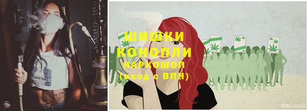 молекула духа Гусиноозёрск