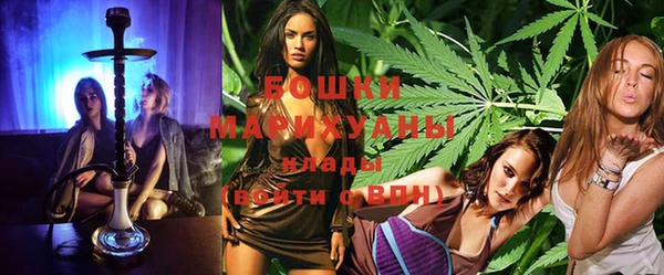 молекула духа Гусиноозёрск