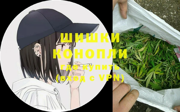 молекула духа Гусиноозёрск