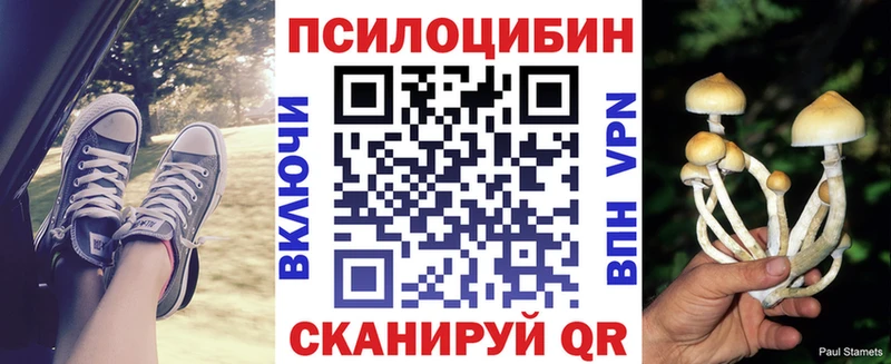 Купить  Новая Ладога  Галлюциногенные грибы Psilocybine cubensis 