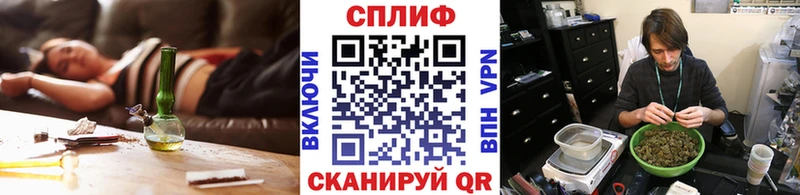 Купить  Новая Ладога  Канабис AK-47 